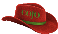 Cojo Hat Sticker - Cojo Hat Merry Christmas Stickers