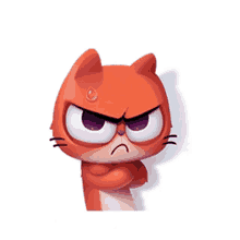 red cat cute kitty kitten angry