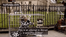 Helpthis Is An Attempt To Disrupta Peaceful Protest!.Gif GIF - Helpthis Is An Attempt To Disrupta Peaceful Protest! Lewis Inspector Lewis GIFs