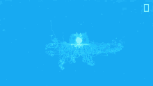jellyfish national geographic shrink float ocean jellyfish national geographic shrink float ocean