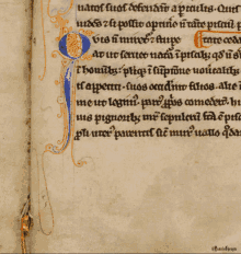 manuscrit chougne pamela chougne