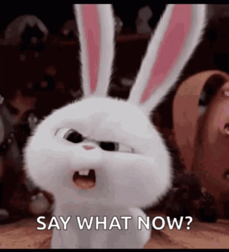 bunnies-what.gif