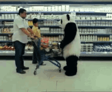 Panda Jerk GIF - Panda Cheese Jerk Grocery GIFs