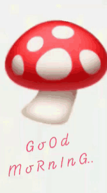 Good Morning Mushroom GIF - Good Morning Mushroom Stars GIFs