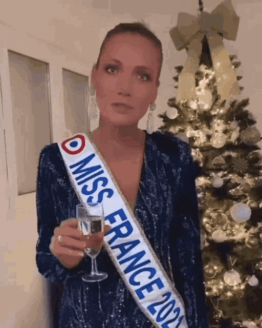 AMANDINE PETIT Miss 2021 DIEULOIS