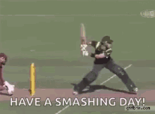 Cricket Smashing Day GIF - Cricket Smashing Day GIFs