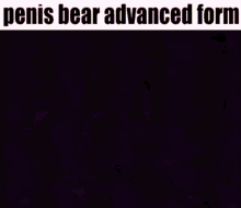 Penis Bear Gemini Home Entertainment GIF - Penis Bear Gemini Home Entertainment GIFs