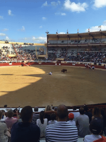 Bayonne GIF - Bayonne Corrida Bullfighting GIFs