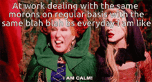 Hocus Pocus I Am Calm GIF - Hocus Pocus I Am Calm At Work GIFs