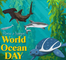 ocean world ocean day have a great world ocean day