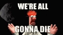 Freaking Out Were All Gonna Die GIF - Freaking Out Were All Gonna Die Muppets GIFs
