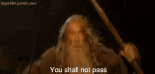 you shall not pass lord of the ring