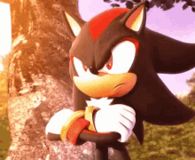 shadow the hedgehog nope not happy shadow the hedgehog nope not happy