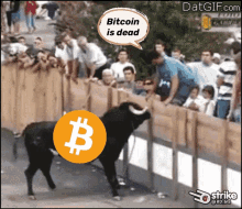 bitcoin is dead rd_btc bitcoin bull vs bear