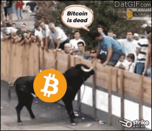 bitcoin is dead rd_btc bitcoin bull vs bear bitcoin is dead rd_btc bitcoin bull vs bear