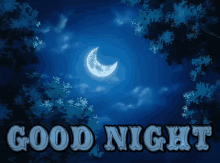 good night moon night sky