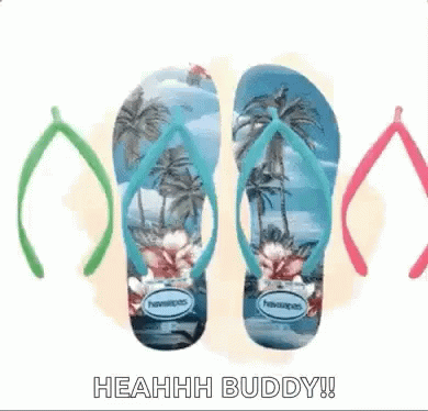 Flip Flops Havaianas GIF - Flip Flops Havaianas Heahhh Buddy GIFs