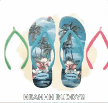 flip flops havaianas heahhh buddy flip flops havaianas heahhh buddy