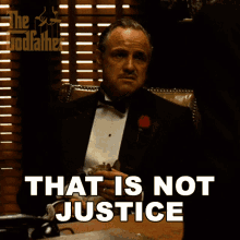 That Is Not Justice Don Vito Corleone GIF - That Is Not Justice Don Vito Corleone Marlon Brando GIFs