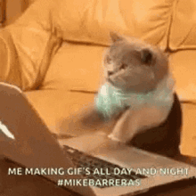 Mike Barreras Cat GIF - Mike Barreras Cat Making Gi Fs On Computer GIFs