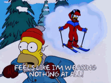 nothing flanders ned simpsons cold
