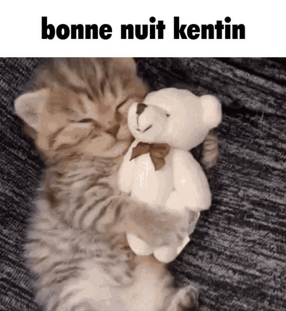 Bonne Nuit Kentin Kentin Gif Bonne Nuit Kentin Kentin Petit Chat Discover Share Gifs