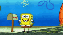 What!!!! GIF - Spongebob Squarepants Nickelodoen GIFs