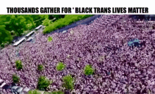 Protest Crowd GIF - Protest Crowd Black Trans Lives Matter GIFs