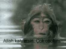 Ibrahim Cool GIF - Ibrahim Cool Monkey GIFs