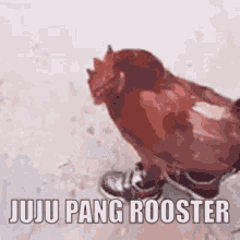 Juju Pang Rooster Chicken GIF - Juju Pang Rooster Juju Pang GIFs
