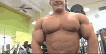 Alexey Muscle GIF - Alexey Muscle GIFs