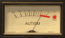Autism GIF - Autism GIFs
