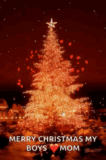 Christmas Cheer Christmas Tree GIF - Christmas Cheer Christmas Tree Christmas Lights GIFs