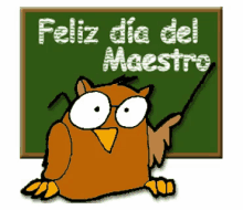 feliz dia del maestro owl teacher instructor