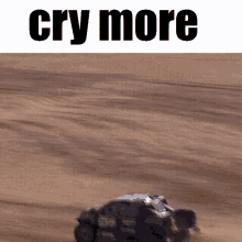 Cry More Cry About It GIF - Cry More Cry About It Dakar GIFs