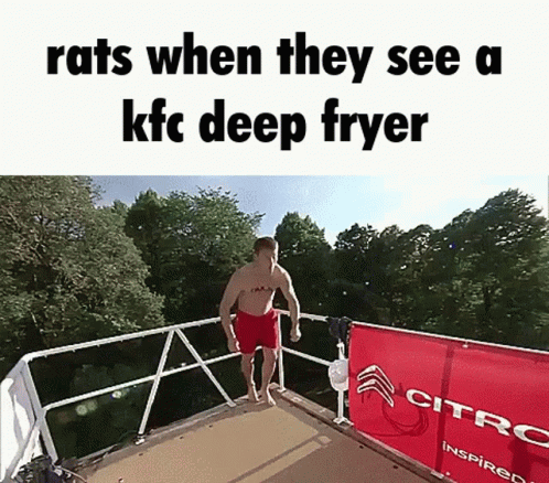 Rats When They See A Kfc Deep Fryer Milkshake GIF - Rats When They See A Kfc  Deep Fryer Rats Milkshake - Discover &amp; Share GIFs