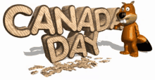 canada day beaver wave buck teeth celebrate