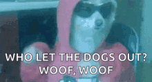 Party Dog GIF - Party Dog Disco GIFs