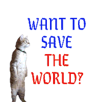 Want To Save The World Cat Sticker - Want To Save The World Cat Kitty Stickers