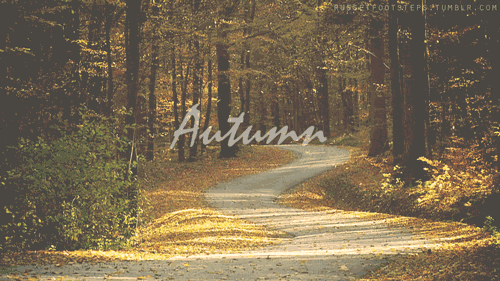 Autumn GIF - Autumn Fall Seasons GIFs