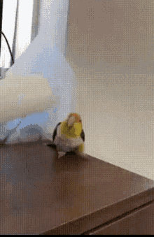 Bird Head Banging GIF - Bird Head Banging Dancing GIFs