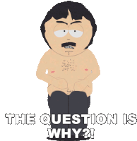 The Question Is Why Randy Marsh Sticker - The Question Is Why Randy Marsh South Park Stickers
