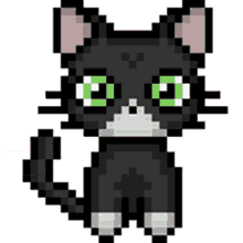 tuxedocat blackcat