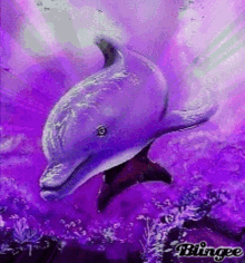 dolphin purple fish blingee