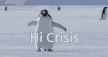 Hi Crisis GIF - Hi Crisis Penguin GIFs