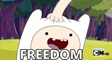 Freedom! GIF - Freedom Adventure Time Fin GIFs