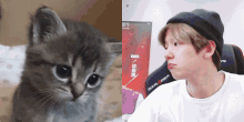 Baekhyun Baekhyun Cat GIF - Baekhyun Baekhyun Cat Baekhyun Sad GIFs