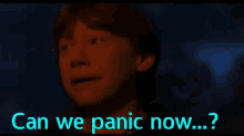 Harry Potter Can We Panic Now GIF - Harry Potter Can We Panic Now Ron GIFs