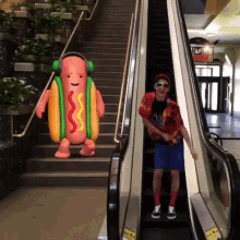 Hotdog Down A Hallway Gif