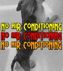No Air Conditioning Hotdog GIF - No Air Conditioning Hotdog No Ac GIFs